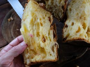 Leia mais sobre o artigo Empresário aposta no Natal para aumentar vendas de panetones artesanais