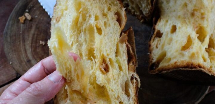 Empresário aposta no Natal para aumentar vendas de panetones artesanais