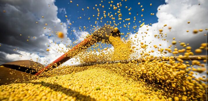 Brasil estima colheita de 354,8 milhões de toneladas de grãos