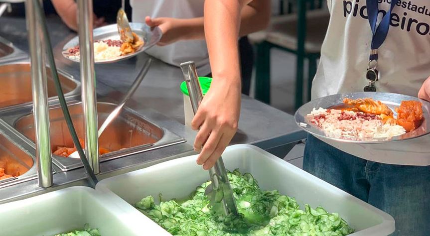 Quase metade dos municípios não tinha órgão gestor de segurança alimentar e nutricional em 2024