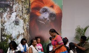 Leia mais sobre o artigo COP30: financiamento, transição e adaptação são centro das negociações