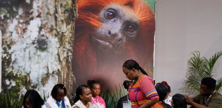 COP30: financiamento, transição e adaptação são centro das negociações