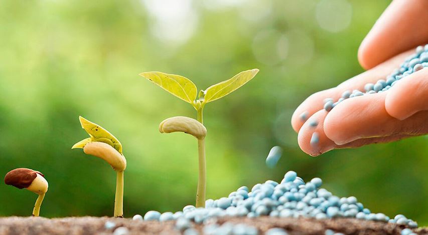 Preços da indústria caem 0,25% em setembro e acumulam -3,87% no ano