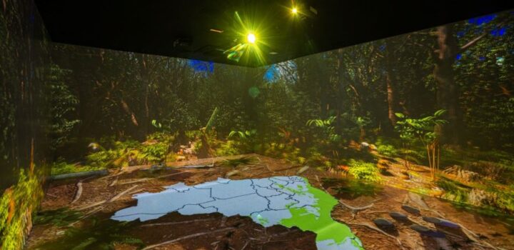 Com tecnologia de ponta, Salvador conta com sala imersiva gratuita dedicada à Mata Atlântica