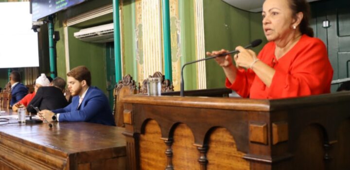 Aladilce reage à leitura do Plano Municipal de Segurança Pública