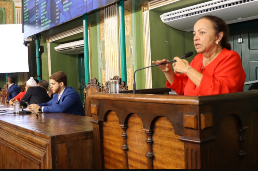 Aladilce reage à leitura do Plano Municipal de Segurança Pública