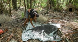 Leia mais sobre o artigo 8,6 milhões de pessoas saíram da pobreza entre 2023 e 2024