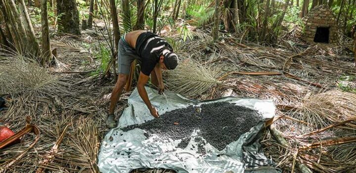 8,6 milhões de pessoas saíram da pobreza entre 2023 e 2024