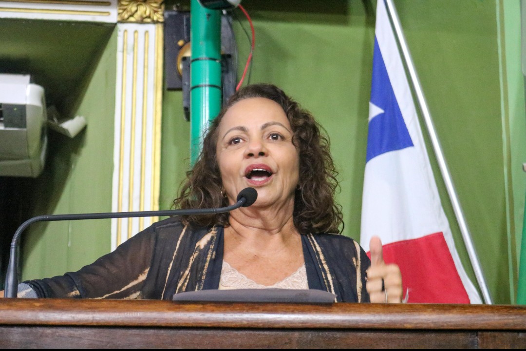 Para Aladilce pacote de reajustes do prefeito é “punição aos contribuintes”