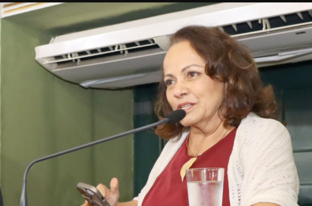 Aladilce parabeniza produtividade da Câmara em 2025