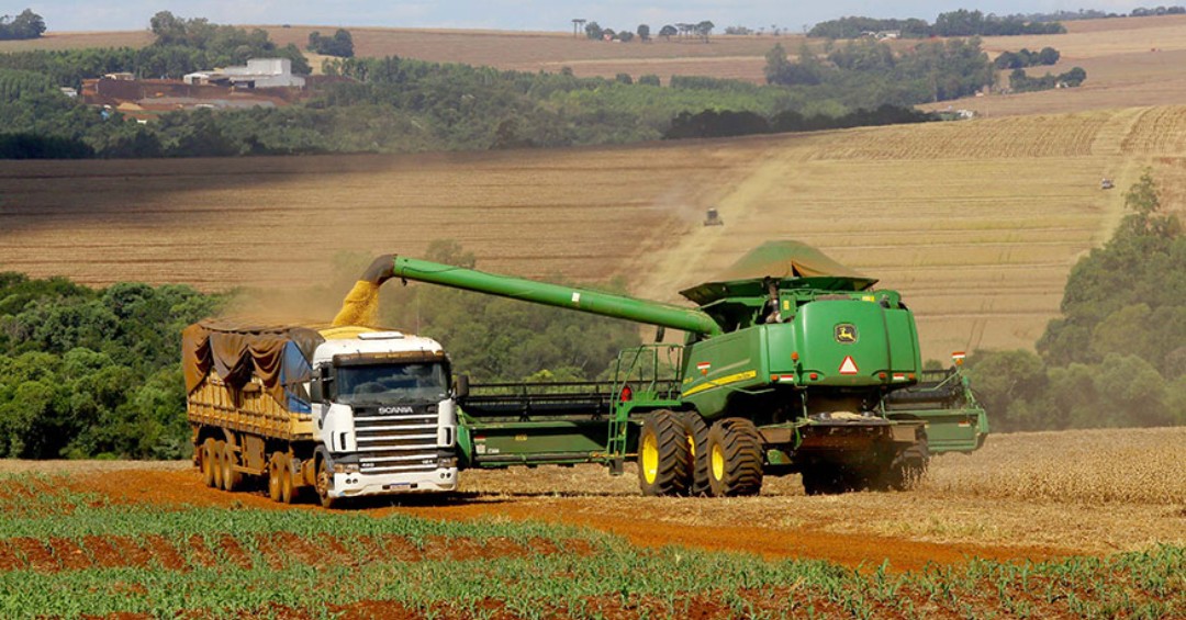 Safra de 2025 é recorde e previsão para 2026 é 1,8% menor