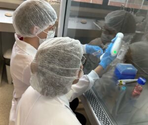 Leia mais sobre o artigo Pesquisadores da UFPR buscam investimento para escalar fabricação de colágeno