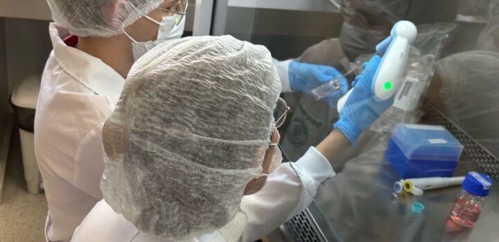 Pesquisadores da UFPR buscam investimento para escalar fabricação de colágeno