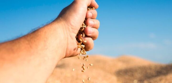 Brasil atinge novo recorde na safra de grãos, com 346,1 milhões de toneladas em 2025