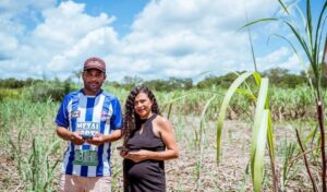 Leia mais sobre o artigo Em dois anos, conectividade avança nas áreas rurais e leva 4G a 1,7 milhão de brasileiros