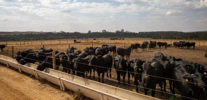 Atividade econômica brasileira cresce 2,5% em 2025