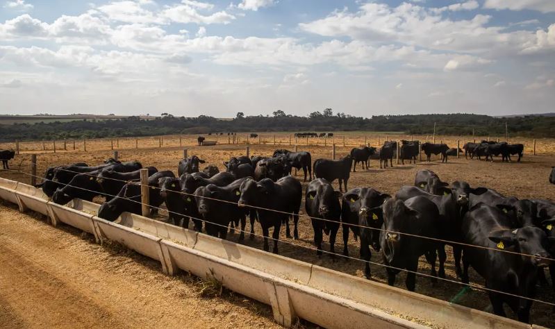 Atividade econômica brasileira cresce 2,5% em 2025