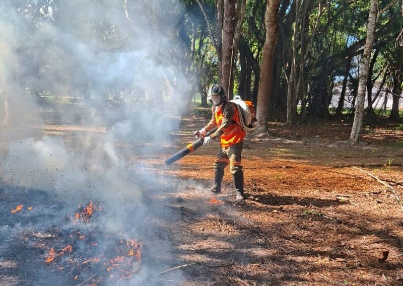 Programa Amigos da Floresta da Bracell reduz em mais de 75% incêndios florestais em áreas monitoradas