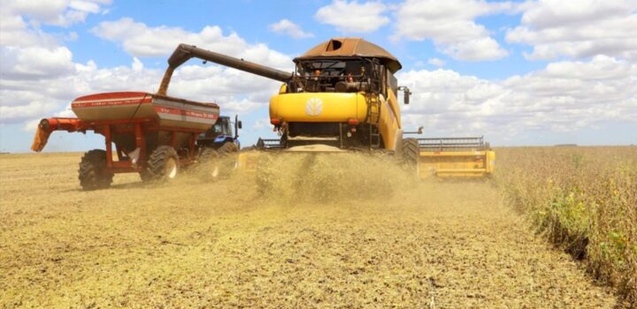 Produção da soja tem previsão de novo recorde na série histórica em 2026