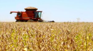 Leia mais sobre o artigo PIB cresce 2,3% em 2025