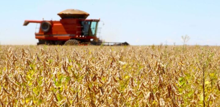 PIB cresce 2,3% em 2025