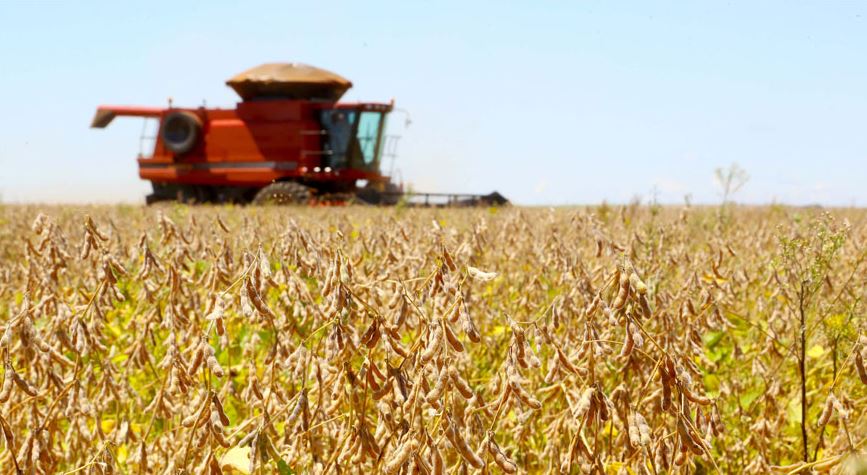 PIB cresce 2,3% em 2025