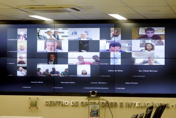 Comissão baiana do cacau alinha estratégias para fortalecer defesa dos produtores e da produção nacional