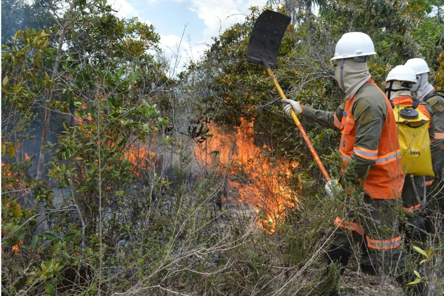 Bracell participa de seminário internacional e destaca educação como estratégia para prevenir incêndios florestais