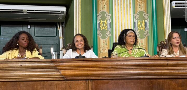 Aladilce sugere campanha contra feminicídio protagonizada pelos vereadores homens