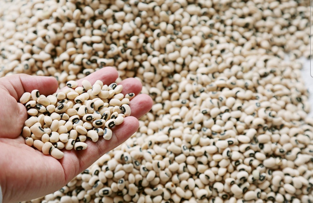 Agroindústria cresce 0,5% em janeiro, segundo FGVAgro