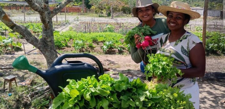 I Seminário Agroecologia contra a Fome debate caminhos para enfrentar a insegurança alimentar
