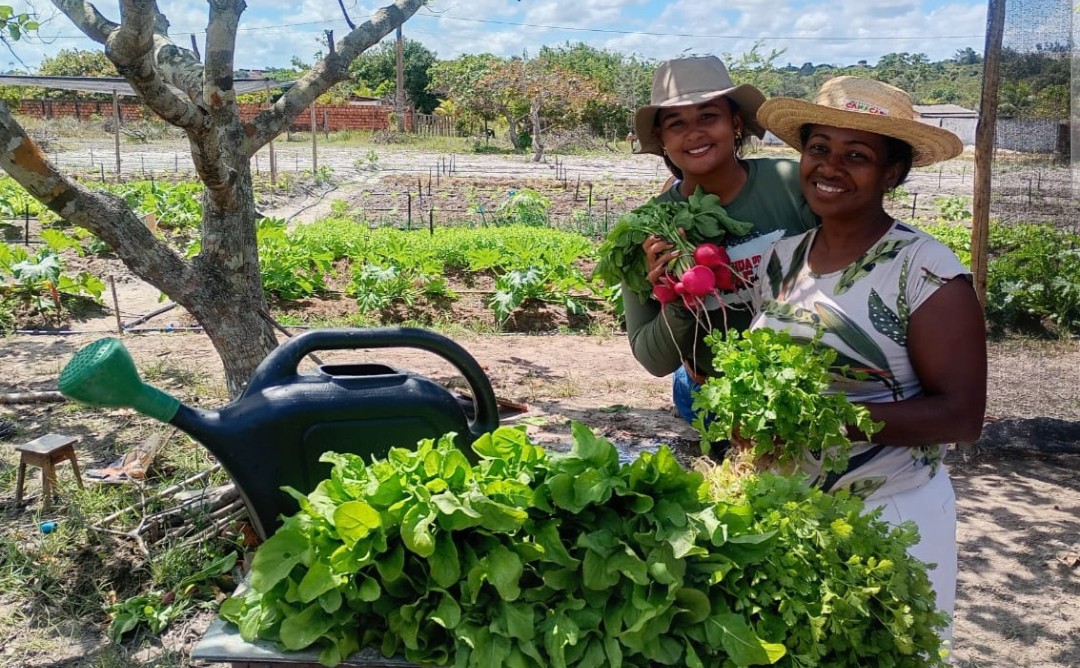 I Seminário Agroecologia contra a Fome debate caminhos para enfrentar a insegurança alimentar