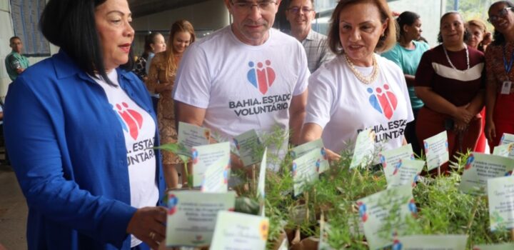 Mulheres são maioria nas ações de voluntariado do Estado