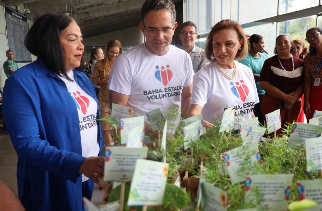 Mulheres são maioria nas ações de voluntariado do Estado