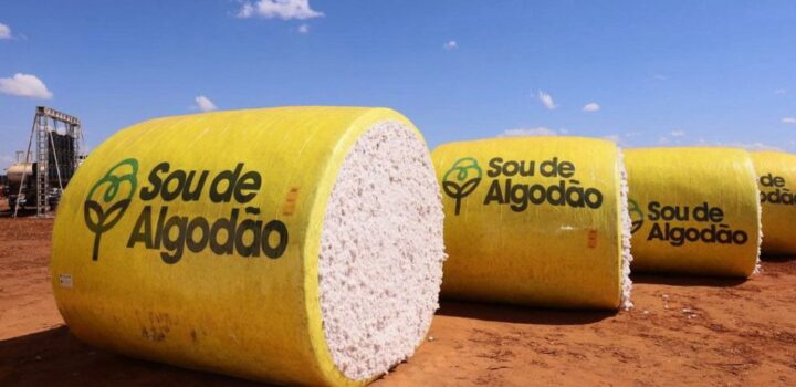 Agronegócio respondeu por 22,1% da economia baiana em 2025