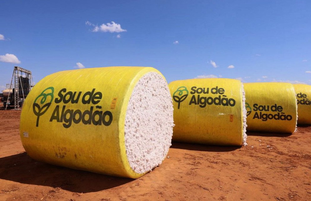 Agronegócio respondeu por 22,1% da economia baiana em 2025