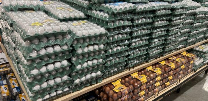 Produtos de Semana Santa em Salvador: histórico aponta o ovo de galinha como um dos grandes vilões do período