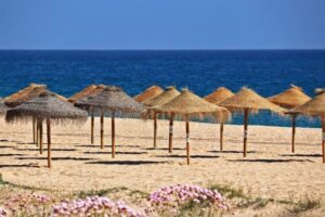 Leia mais sobre o artigo Feriados e Copa aumentam procura por viagens em 2026; veja como economizar com planejamento e compras online