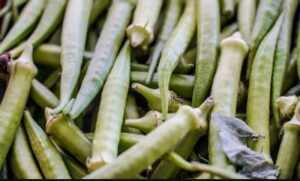 Leia mais sobre o artigo Garantia-Safra: veja lista dos que receberão pagamento em abril