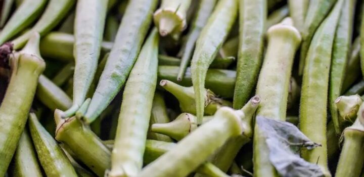 Garantia-Safra: veja lista dos que receberão pagamento em abril