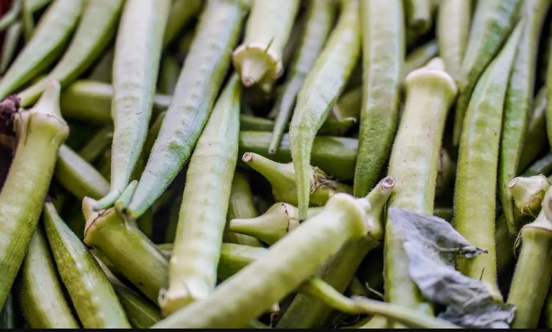 Garantia-Safra: veja lista dos que receberão pagamento em abril