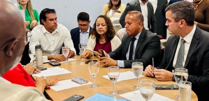 Vereadores pedem vistas ao Plano de Segurança