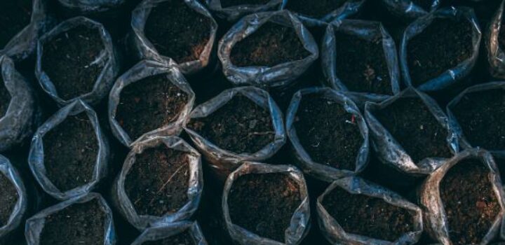 Entregas de fertilizantes caíram 1,3% no acumuladodos meses de janeiro e fevereiro de 2026