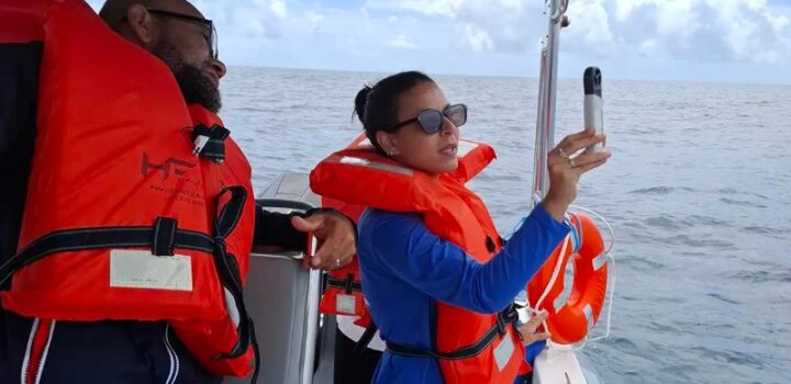 Projeto mapeia fauna marinha da Bahia por meio do DNA ambiental