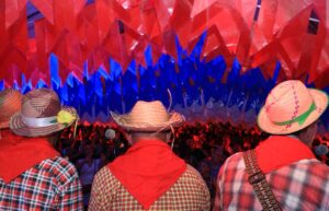 Leia mais sobre o artigo Governo garante mínimo de 25% dos investimentos no São da Bahia 2026 para artistas do autêntico forró
