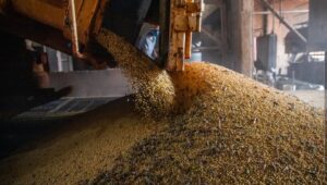 Leia mais sobre o artigo Economia brasileira cresce 1,1% no 1º trimestre