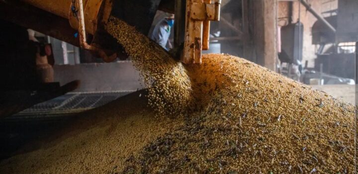 Economia brasileira cresce 1,1% no 1º trimestre