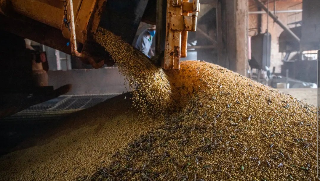 Economia brasileira cresce 1,1% no 1º trimestre