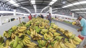 Leia mais sobre o artigo Com alta de 5,29% em maio, custo da Cesta Básica em Salvador supera a forte elevação de março