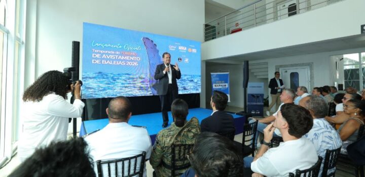 Bahia lança temporada 2026 de observação de baleias-jubarte com capacitação para profissionais do turismo